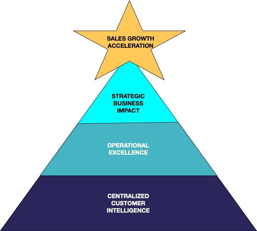 Strategic CRM Implementation: Why Well Managed CRMs Accelerate Sales Growth